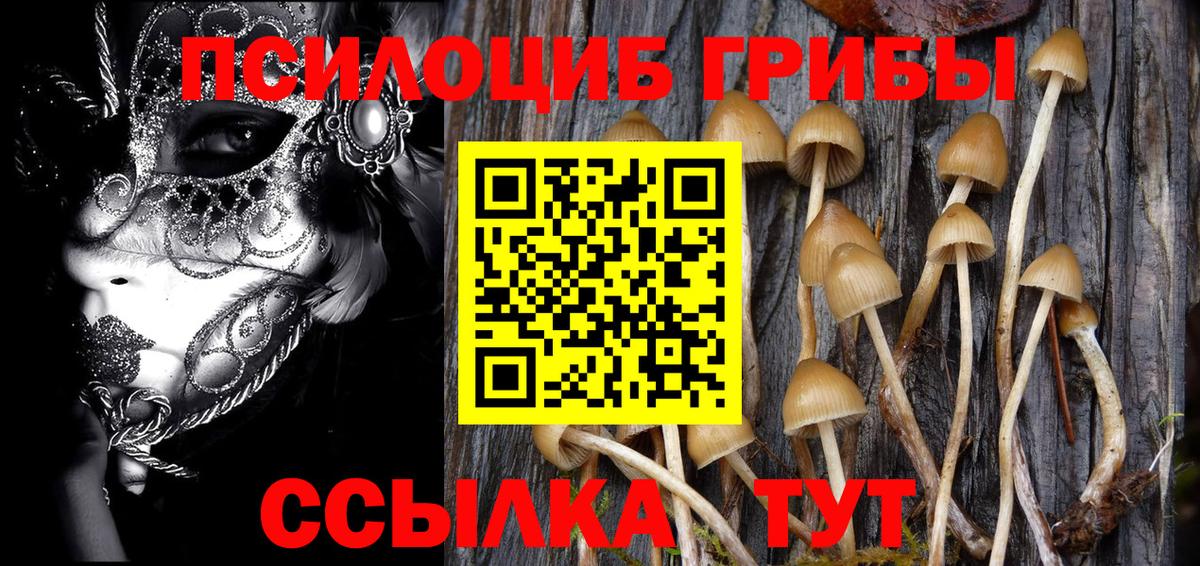 Псилоцибиновые грибы Magic Shrooms Ржев